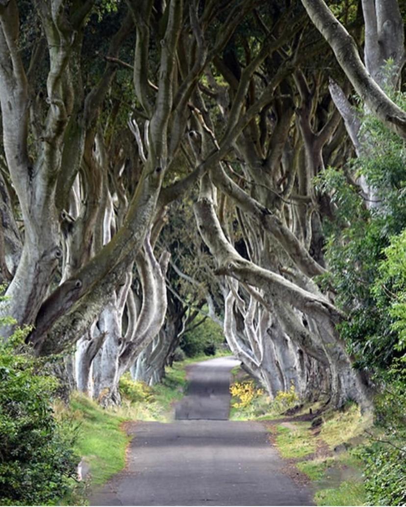 Cullentra House Hotel Cushendall Luaran gambar